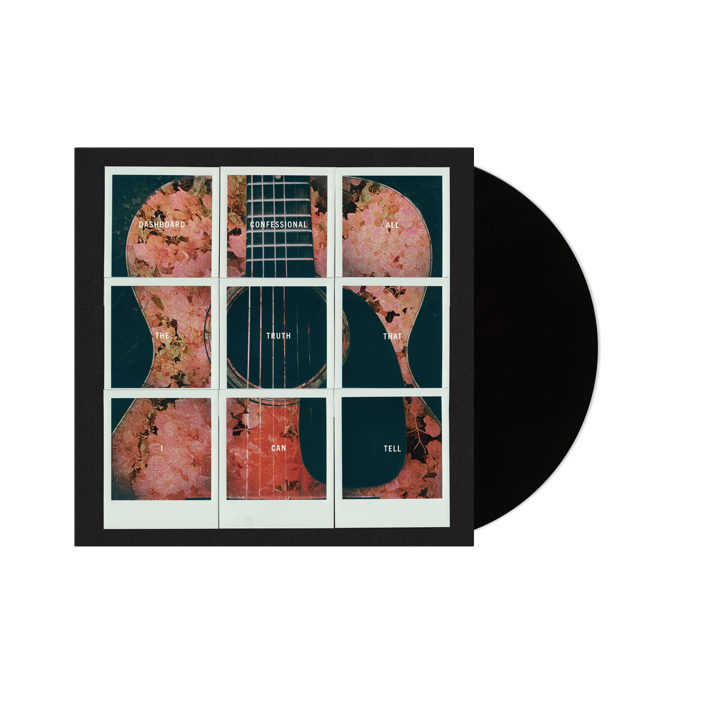 All The Truth That I Can Tell Vinyl